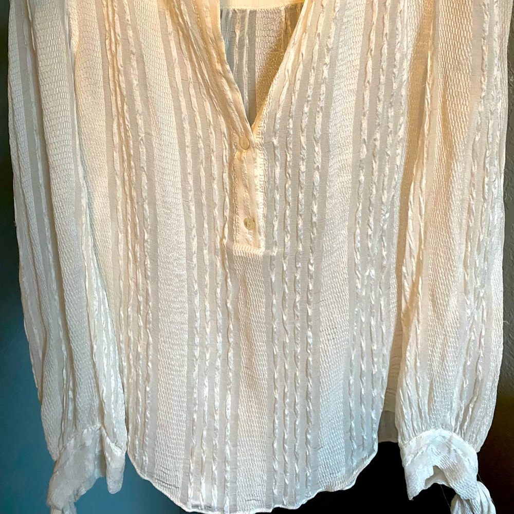 Rebecca taylor sheer blouse